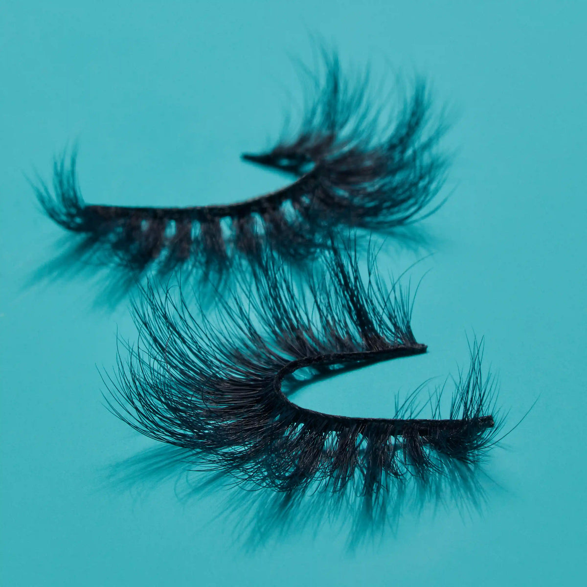 The Nubian Lashes - Egypt